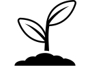 Plantation